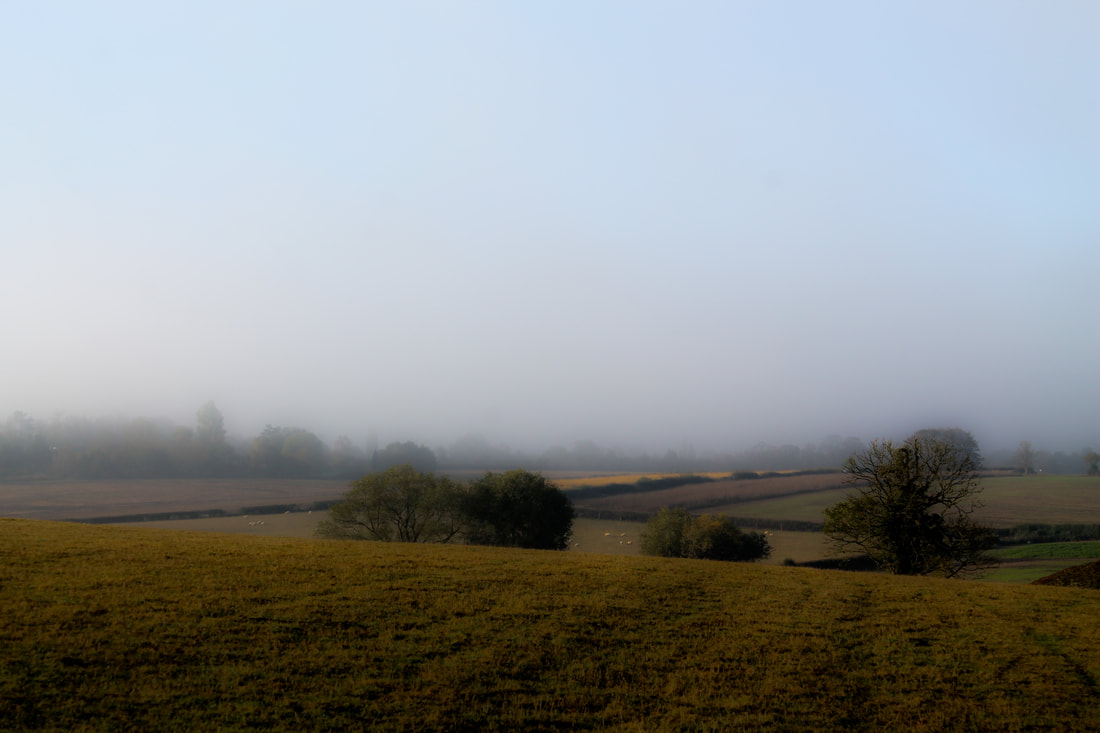 Sunrise fog at Wingbury Farm